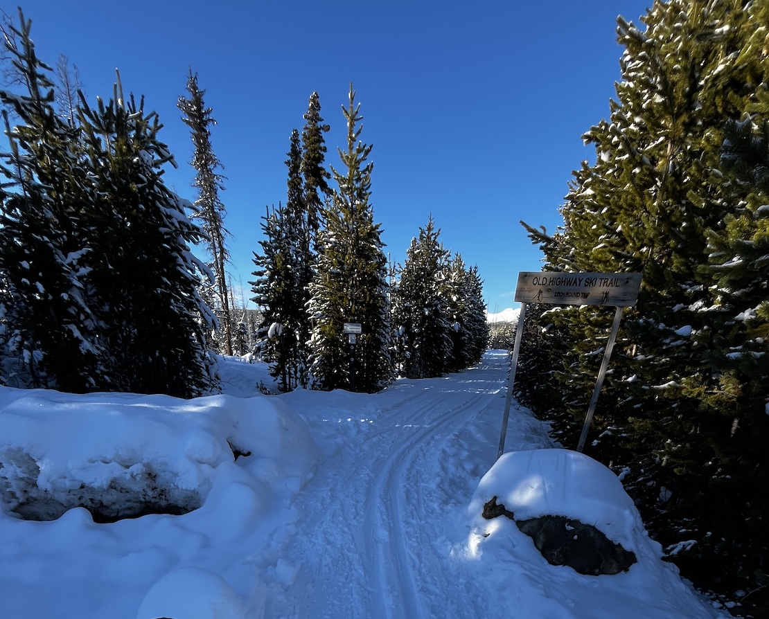 Cross-Country Skiing in the Winter Sun
